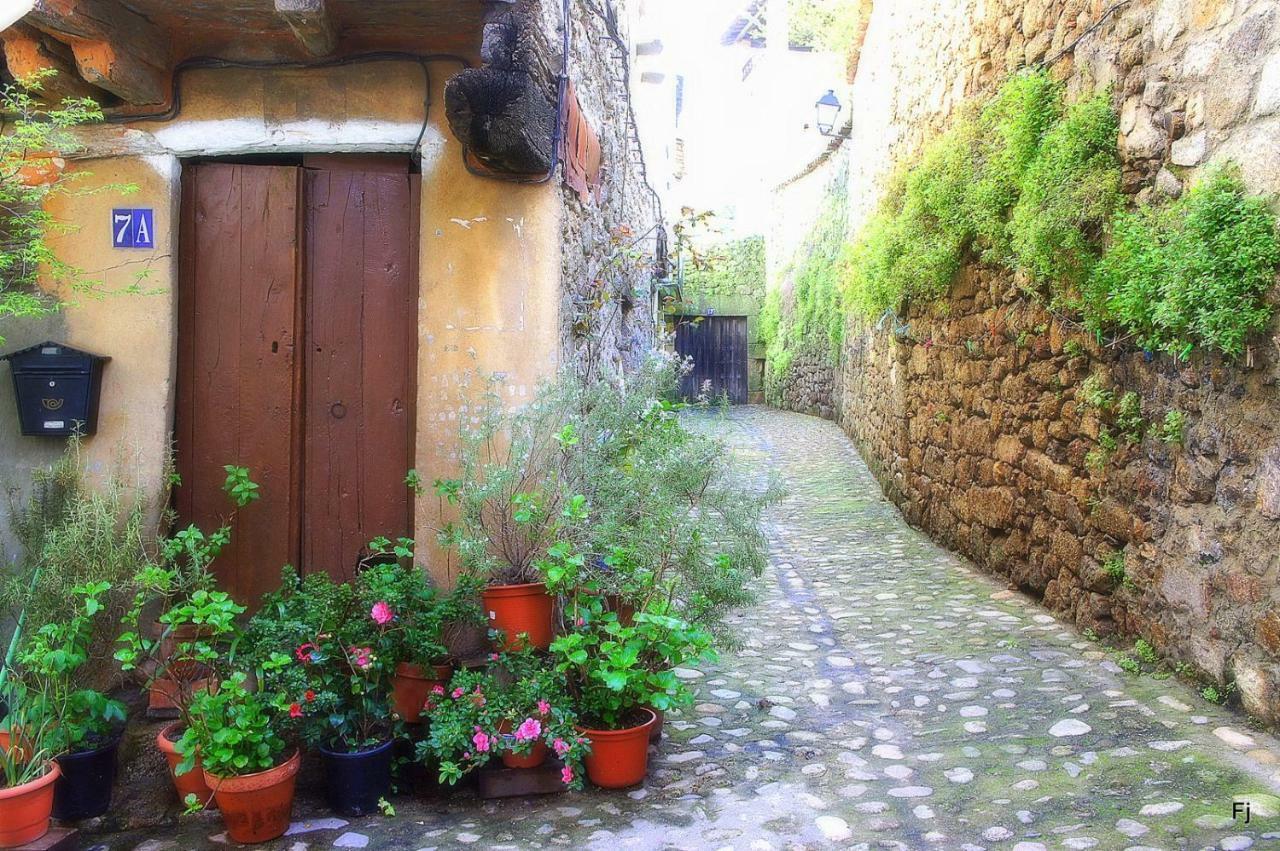 Casa Rural Estrela サン・マルティン・デ・トレベホ エクステリア 写真